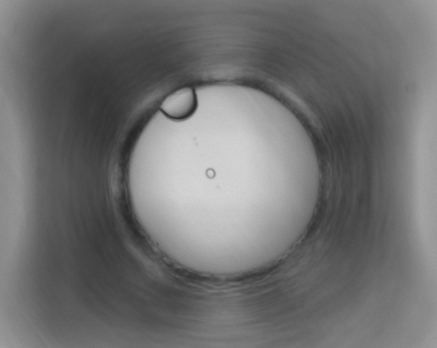 X0000114070683200910051016