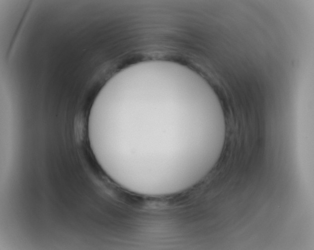 X0000114070694200910051016