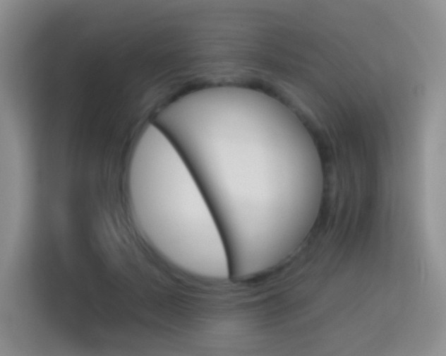 X0000114070695200910051016