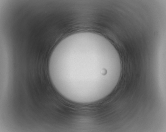 X0000114070700200910051016