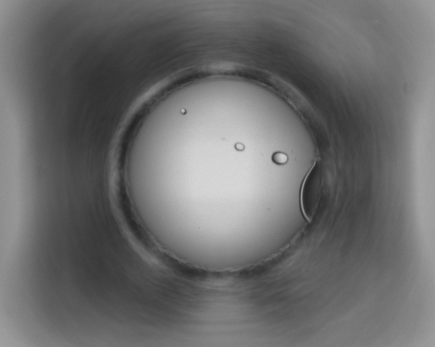 X0000114070728200910051015