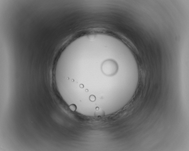 X0000114070729200910051015