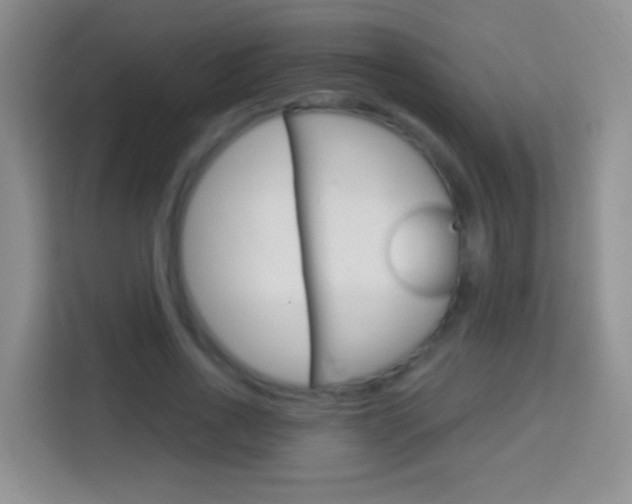 X0000114070734200910051015