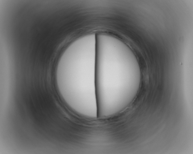 X0000114070735200910051015