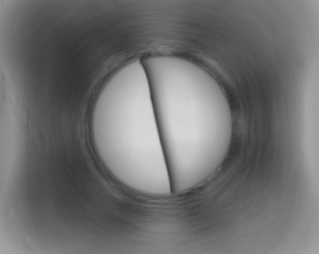 X0000114070738200910051015