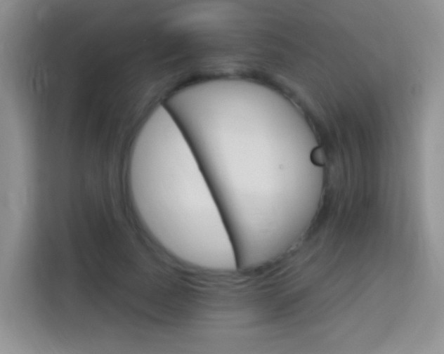 X0000114070739200910051015