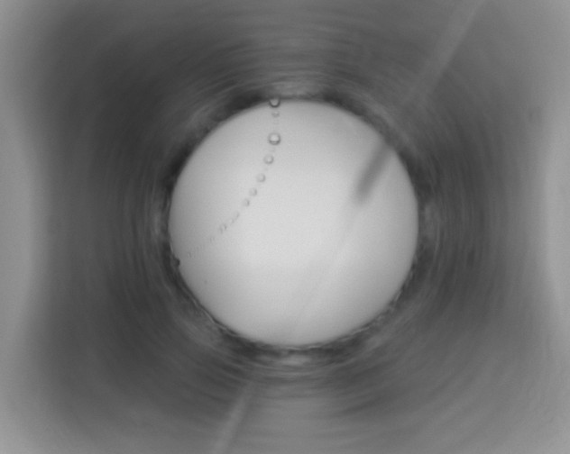 X0000114070741200910051015
