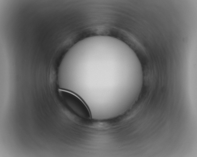 X0000114070748200910051015