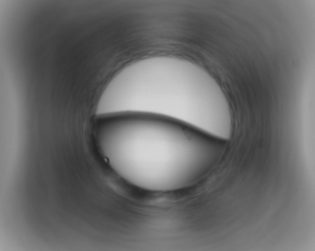 X0000114070750200910051015