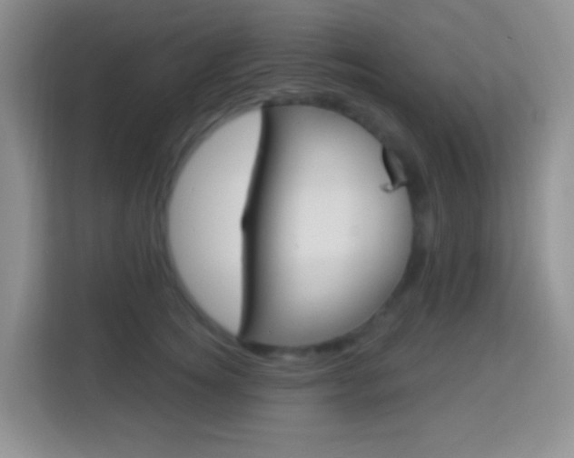 X0000114070756200910051015