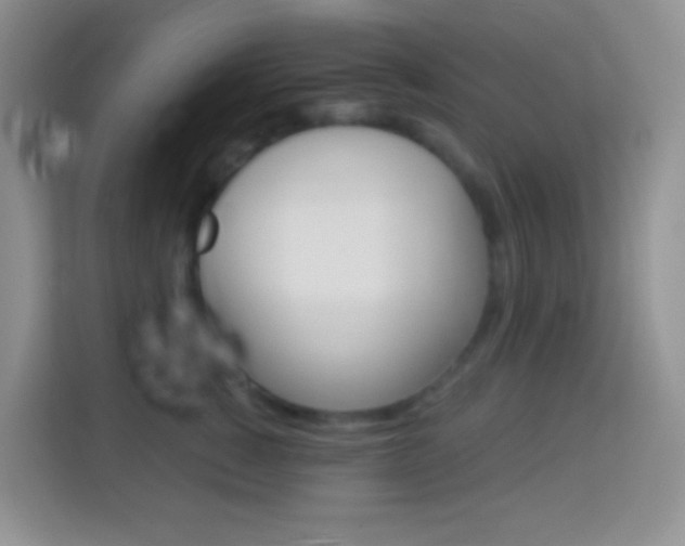 X0000114070760200910051015