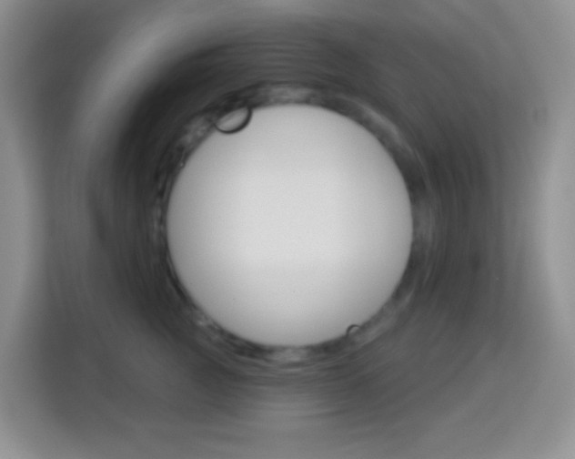 X0000114070761200910051015