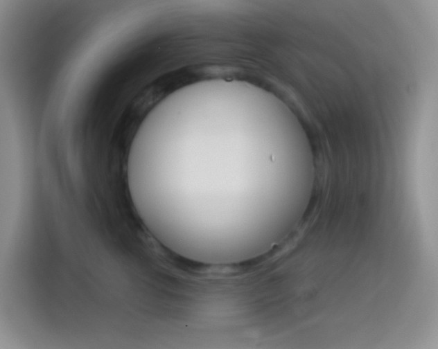 X0000114070762200910051015