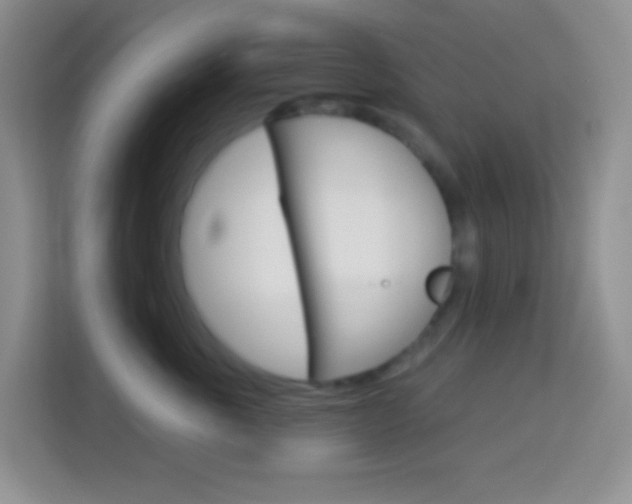 X0000114070763200910051015