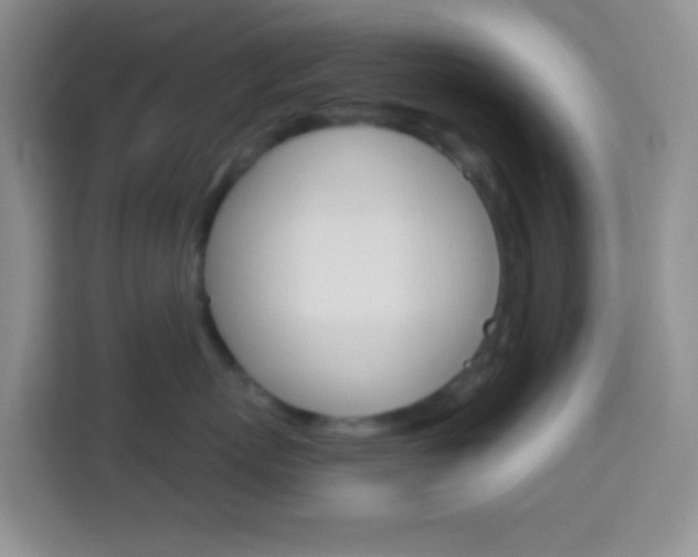 X0000114070767200910051015