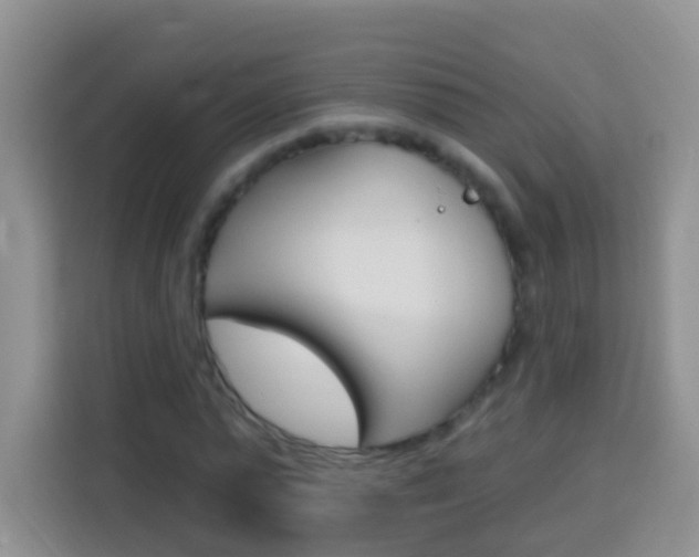 X0000114070775200910051015