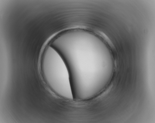 X0000114070780200910051015
