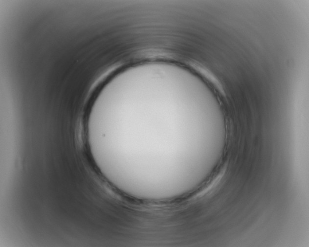 X0000114070782200910051015