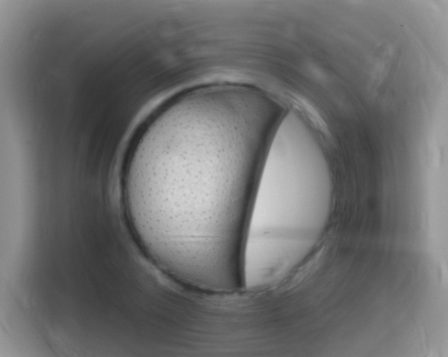 X0000114070784200910051015