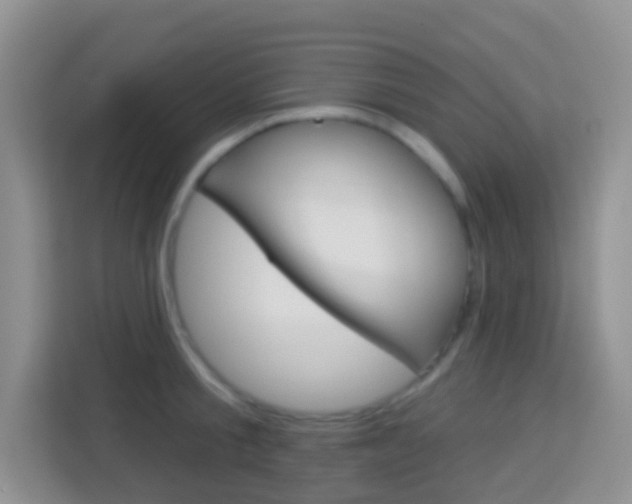 X0000114070805200910051014
