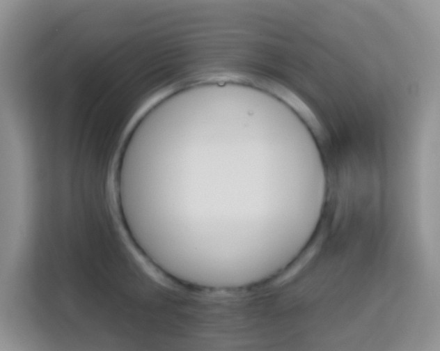 X0000114070806200910051014