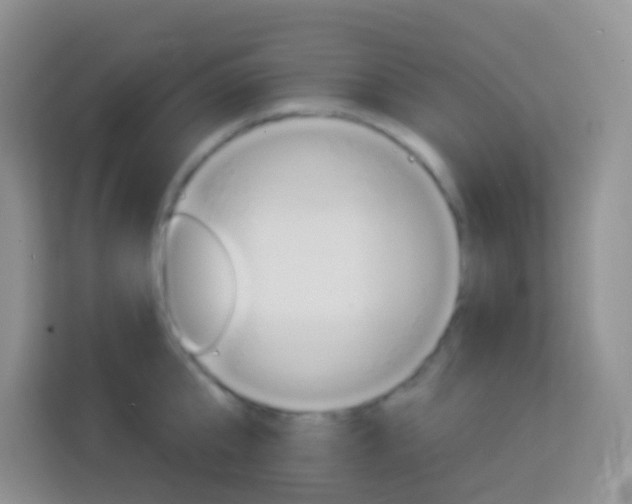 X0000114070807200910051014
