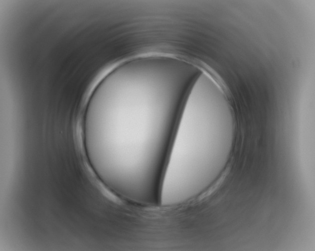 X0000114070812200910051014