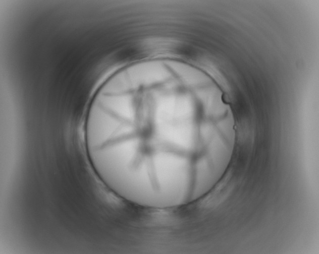 X0000114070814200910051014