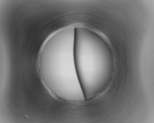 X0000114070816200910051014