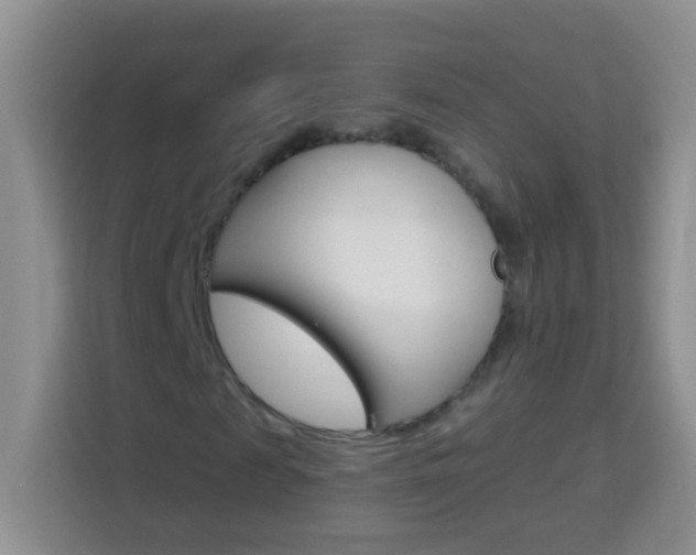 X0000114070817200910051014