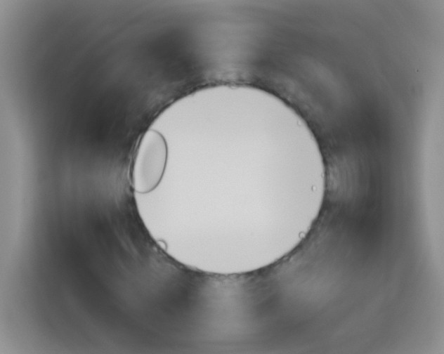 X0000114070820200910051014