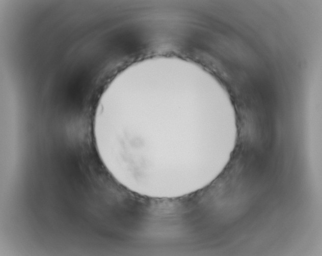X0000114070824200910051014