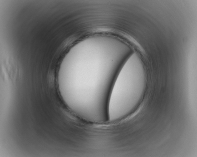 X0000114070825200910051014