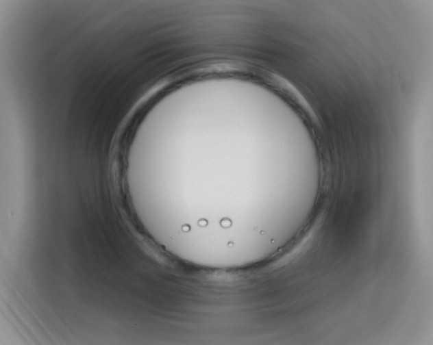 X0000114070827200910051014