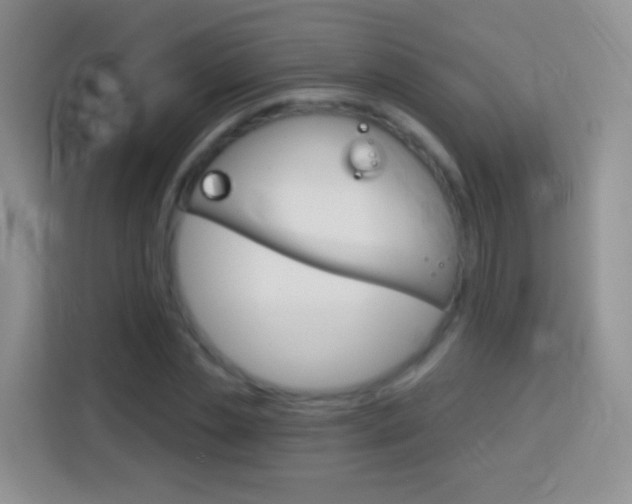 X0000114070829200910051014
