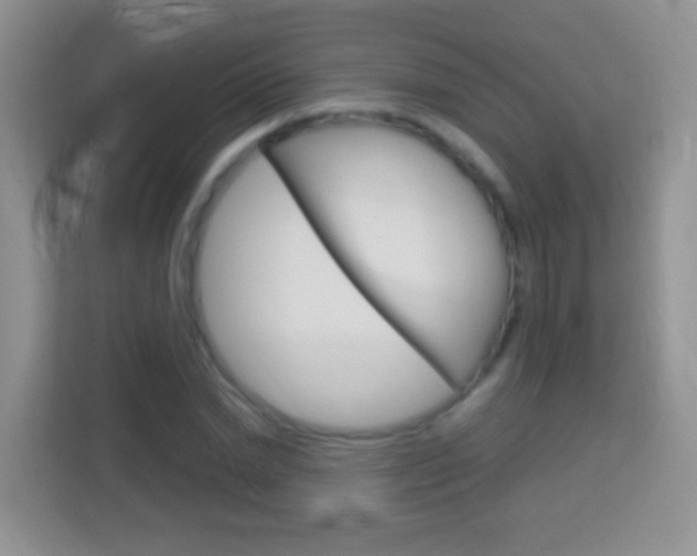 X0000114070830200910051014