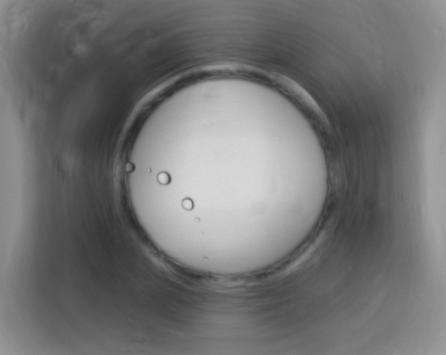 X0000114070831200910051014