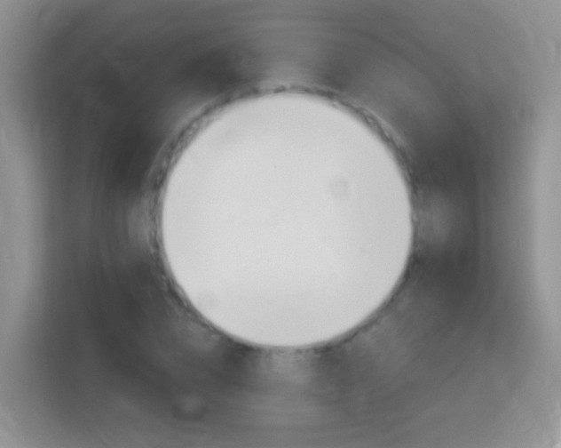X0000114070832200910051014