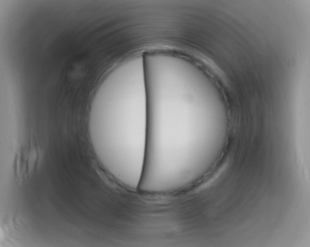 X0000114070833200910051014