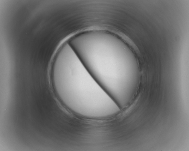 X0000114070838200910051014