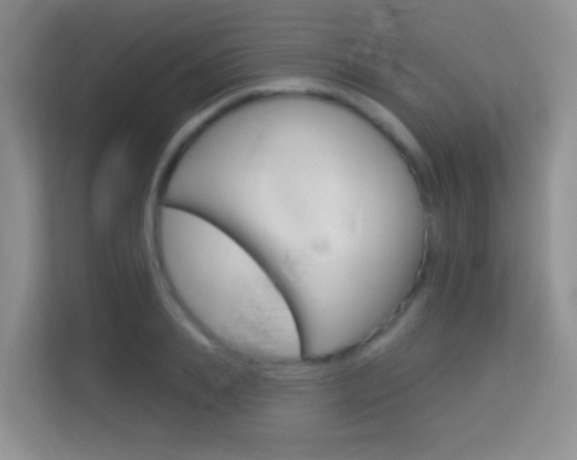 X0000114070839200910051014