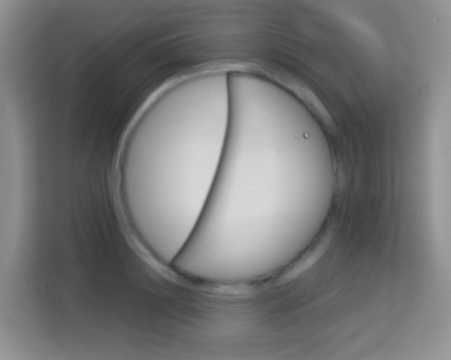X0000114070844200910051014