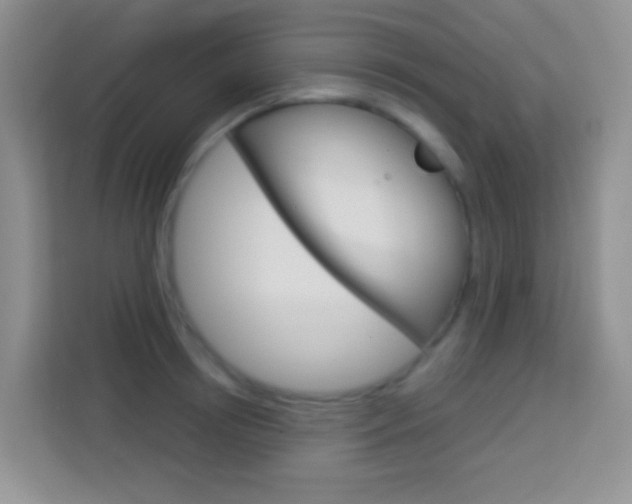 X0000114070850200910051014