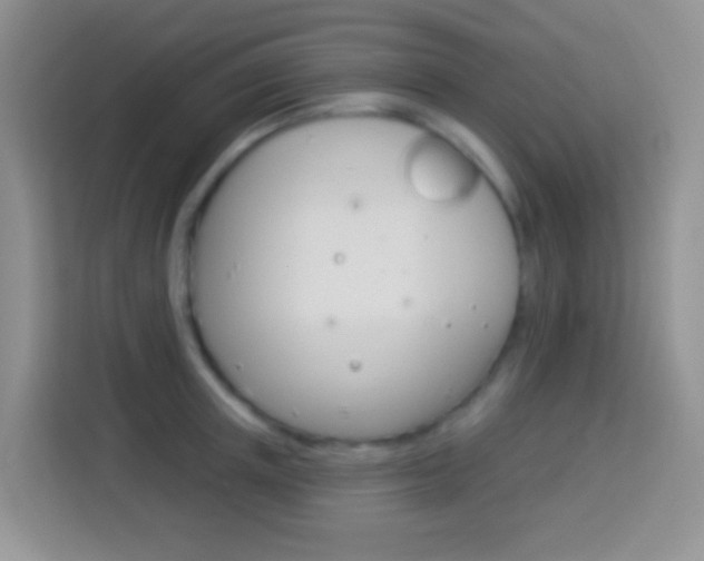 X0000114070851200910051014