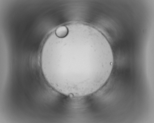 X0000114070856200910051014