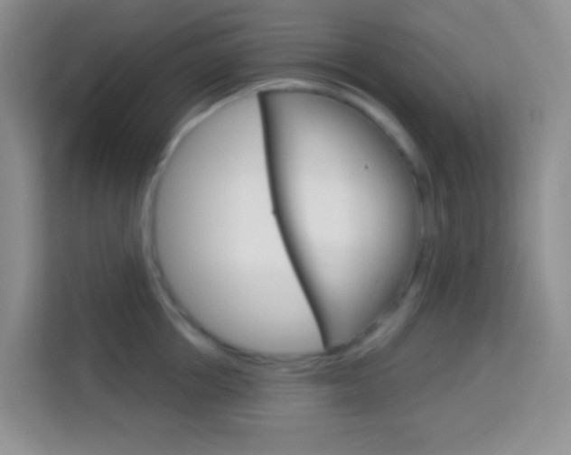 X0000114070858200910051014