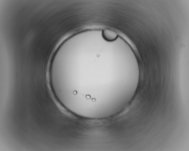 X0000114070861200910051014