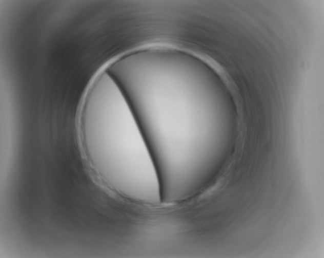X0000114070864200910051014