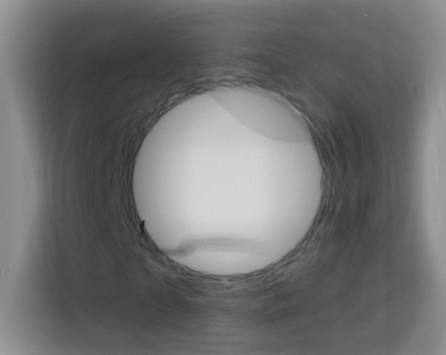 X0000114070865200910051014
