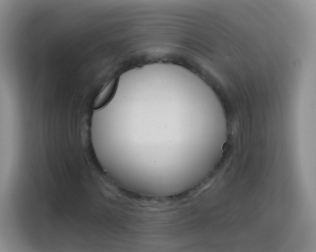 X0000114070868200910051013